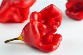 Aka Chapeau Pepper Vegetable Seeds for Planting,heirloom & Non-GMO Seeds