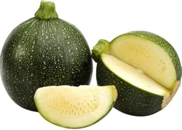 Calabacin Redondo Seeds for Planting, 100 Pcs pcs