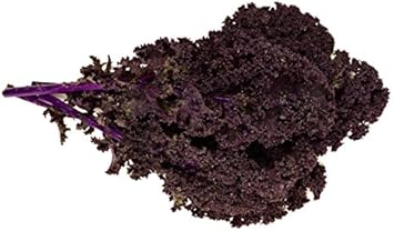 Red Veins Scarlet Kale Seeds for Planting heirloom & Non-GMO Seeds