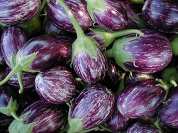 Purple Eggplant Seeds for Planting - 100 Pcs pcs