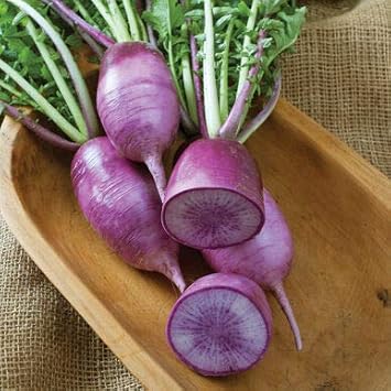 Rainbow Radish Seeds for Planting Violet - 100 Pcs pcs