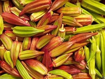 Red Green Okra Seeds for Planting - heirloom & Non-GMO Seeds