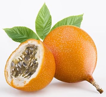 Granadilla Fruit Seeds for Planting - a Sweet and Unique Tropical Fruit Harvest, Heirloom Seeds