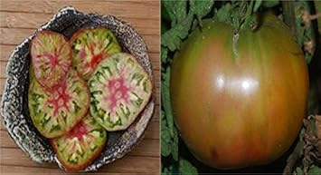 Green Tomato Seeds for Planting - 100 Pcs pcs