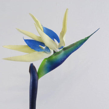 Cream Violet Strelitzia Flower Seeds for Planting - 100 pcs