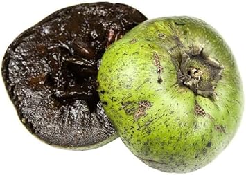 60pcs Fresh Digyna Sapote Fruit Seeds - Exotic Tree Seeds for Your Yard 100 Pcs pcs