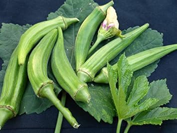 Green Clemson Seeds for Planting - Healthy Vegetable - heirloom & Non GMO Seeds