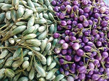 Purple Green Eggplant Seeds for Planting - 100 Pcs pcs