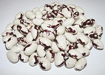 Black White Bean Seeds for Planting - heirloom & Non-GMO Seeds
