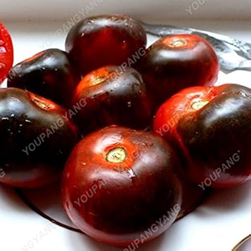 Red Black Tomato Vegetable Seeds for Planting, heirloom & Non-GMO Seeds