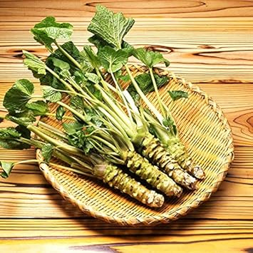 Green Horseradish Seeds for Planting - 100 Pcs pcs