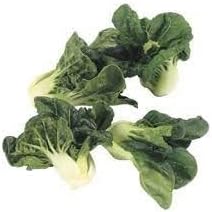 Army Green Choi Bok Choy Seeds for Planting - 100 Pcs pcs