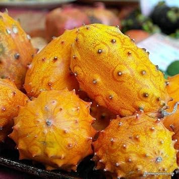 70pcs Kiwano Fruit Seeds - Exotic Horned Melons for Your Garden 100 Pcs pcs