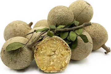 Wood Apple Fruit Seeds for Planting – Heirloom & Non-GMO Tropical Fruit Tree Seeds