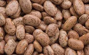 Pinto Bean Vegetable Seeds for Planting - 100 Pcs pcs