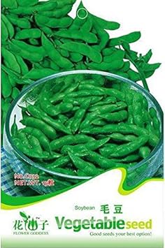 Green Soybean Glycine max seeds for garden planting