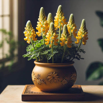 Heirloom Non-GMO Yellow Bonnets Flower Seeds for Planting – Bright Wildflower Blooms for Cottage Gardens