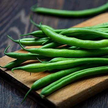Green Lake Bean Seeds for Planting - Healthy Vegetable 100 Pcs pcs
