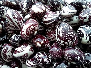 Green Stallard Bean Vegetable Seeds for Planting