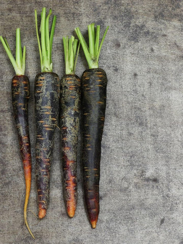 Black Carrot Seeds for Planting - 100 Pcs pcs