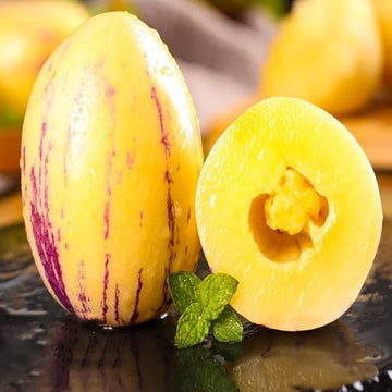 Sugar Gold Pepino Melon Fruit Seeds for Planting - Sweet Tropical Treats, Heirloom and GMO Free Seeds for your Home Garden