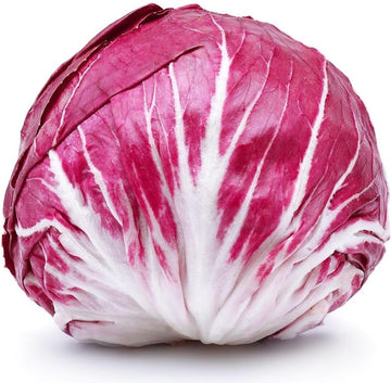 Radicchio Seeds for Planting - 100 Pcs pcs