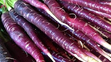 Purple Carrot Seeds for Planting - 100 Pcs pcs