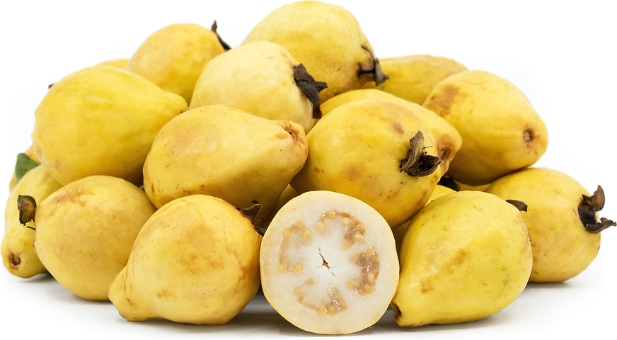 Yellow Mexican cream guava fruit seeds