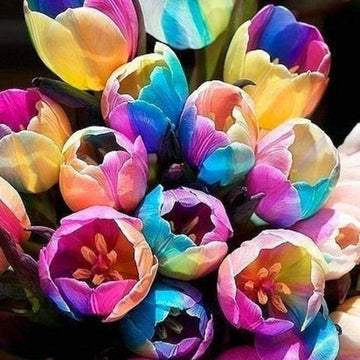 Futuba Rainbow Tulips Flower Seeds for Planting â€“ Vibrant, Heirloom, Non-GMO Seeds