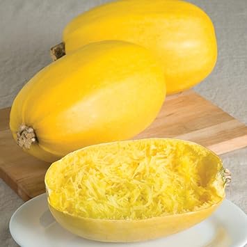 Spaghetti Squash Vegetable Seeds for Planting - heirloom & Non-GMO Garden Seeds