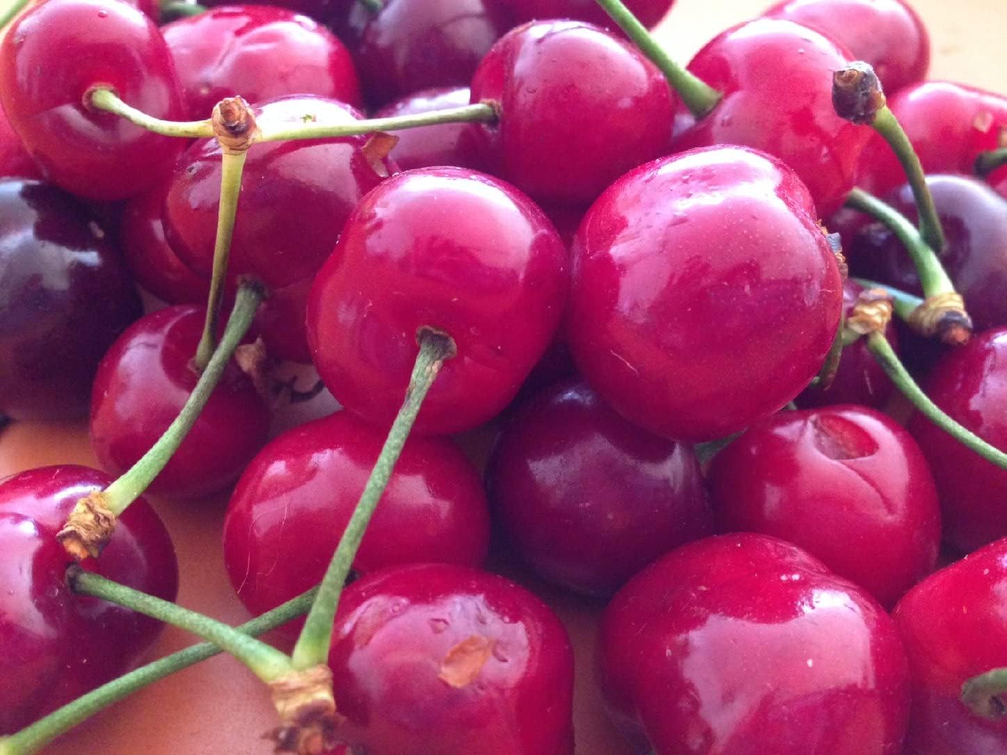 Pinkish-red lychee fruit seeds for tropical garden
