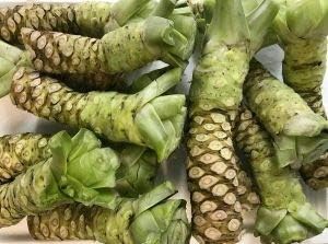 Wasabi Seeds for Planting - Heirloom and Non-GMO garden seeds