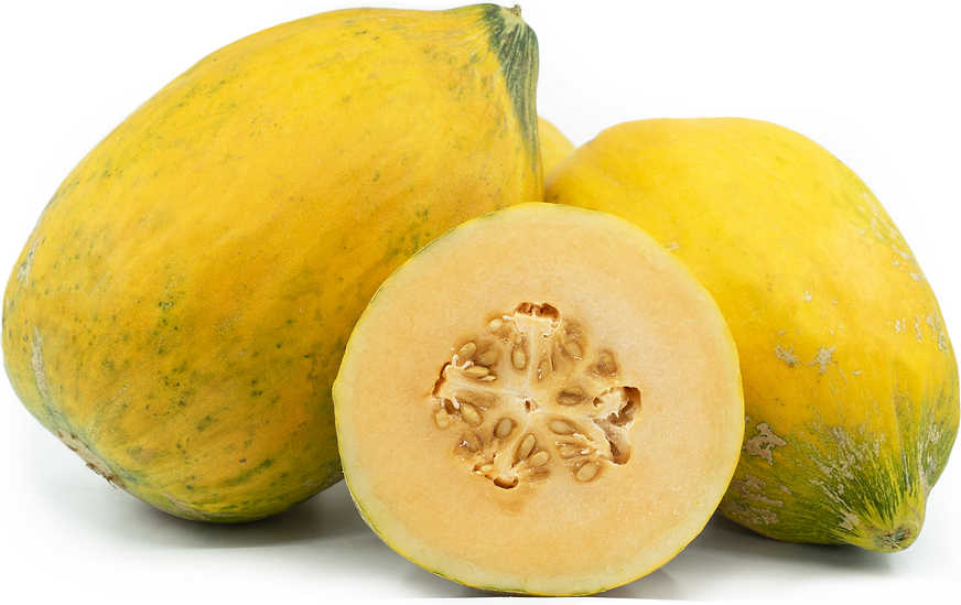 Crenshaw cantaloupe melon fruit seeds for garden