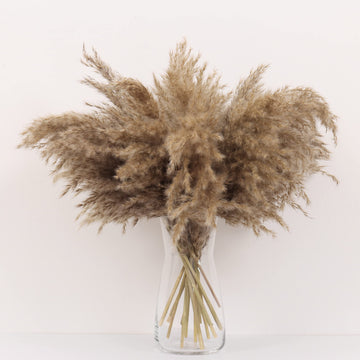 Brown Pampas Grass Seed