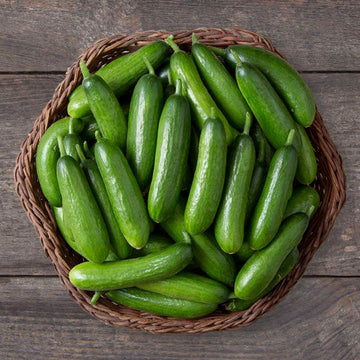 Heirloom Cucumber School Baby F1 Seeds or Cucumis sativus, Organic Vegetable Seeds for Planting