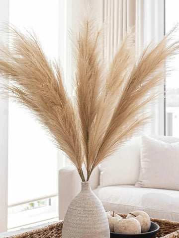 Brown Pampas Grass Seed