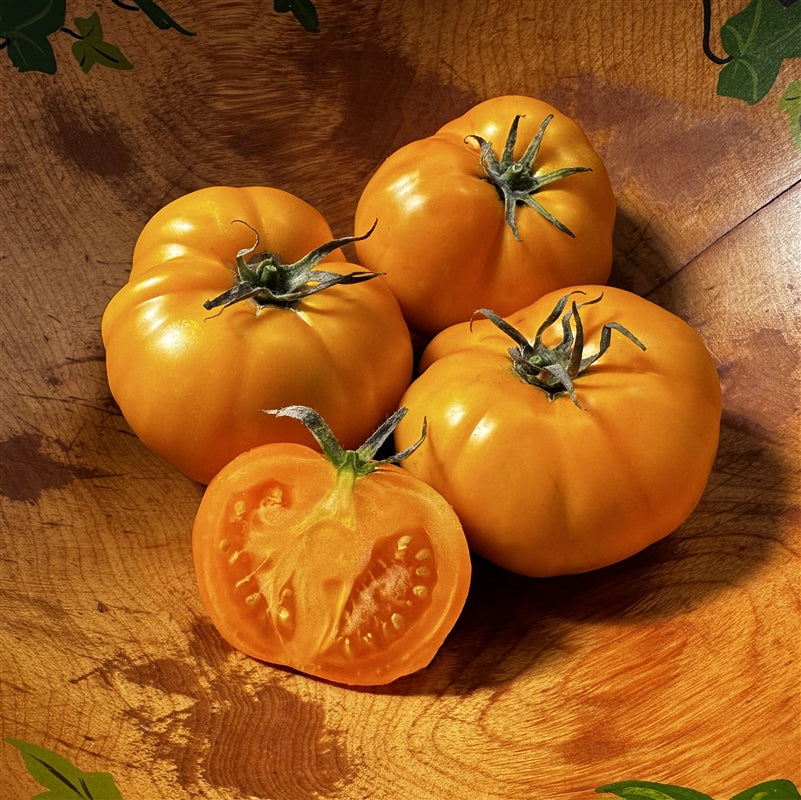 Big Orange Tomato Solanum lycopersicum for planting in home garden