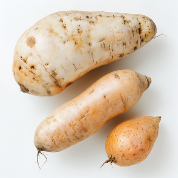 Cream Sweet Potato Vegetable Seeds for Planting – Heirloom, Non-GMO, High-Yield Garden Seeds