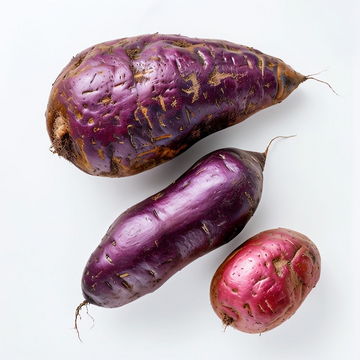 Dark Violet Sweet Potato Vegetable Seeds for Planting – Heirloom, Non-GMO, Organic Garden Seeds