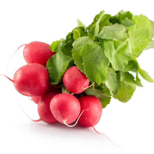 Red Turnip Brassica rapa seeds for garden planting