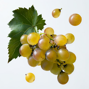 Grape Fruit Seed for Planting -Yellow - heirloom & Non GMO Seeds