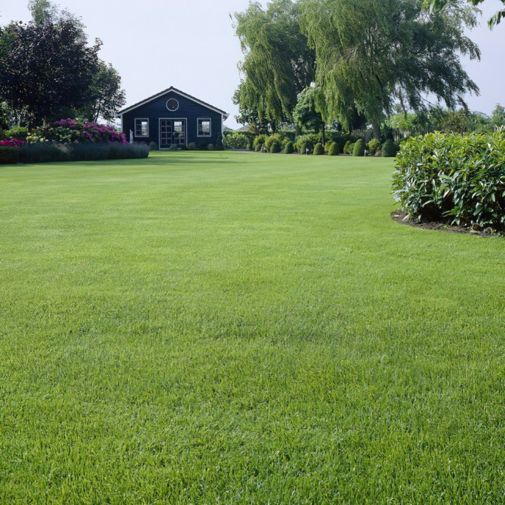 Scotts Turf Builder Grass Seed Drought Tolerant Mix