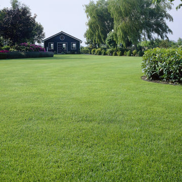 Scotts Turf Builder Grass Seed Drought Tolerant Mix