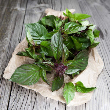 Corsican Basil Herb Seeds