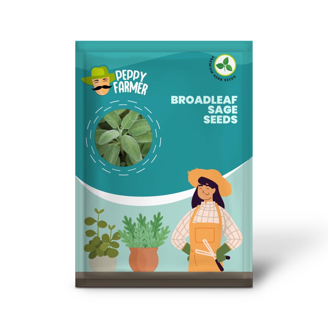 Broadleaf Sage Herb Seeds