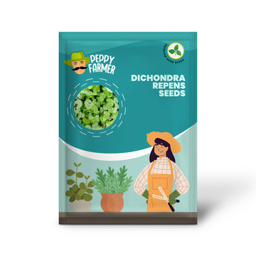 Dichondra Repens Herb Seeds