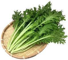 Wasabina Mustard Seeds for Planting - Heirloom and Non-GMO Garden Seeds