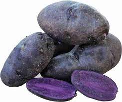 Purple Potato Solanum tuberosum seeds for garden planting