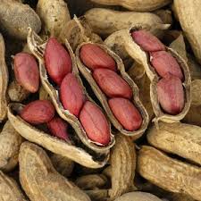 Valencia Peanuts Seeds for Planting, 100 Pcs pcs