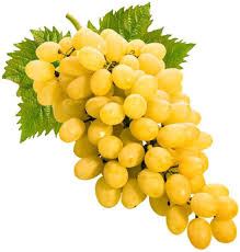 Golden grapes fruit seeds